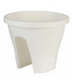 Corsica Flower Bridge® Weiß, 30 Cm ø 8 Corsica Flower Bridge® Weiß, 30 Cm ø -Gartenpflanzen Geschäft 8898137161758