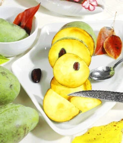 HÄBERLI'S Indianer-Banane® Prima®- Veredelte Sorte 7 HÄBERLI'S Indianer-Banane® Prima®- Veredelte Sorte -Gartenpflanzen Geschäft 8898160558110