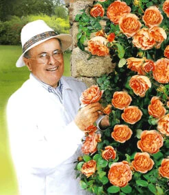 Set Clematis 'The President' & Rose 'Papi Delbard®' -Gartenpflanzen Geschäft 8898178613278