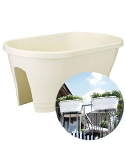 Corsica Flower Bridge® Weiß, 60 Cm Lang