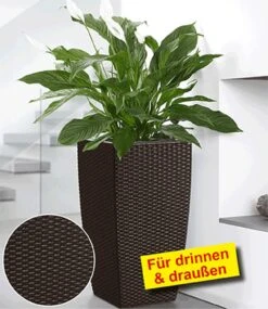 EMSA® CASA MESH Säule 58 Cm Hoch 'mocca'