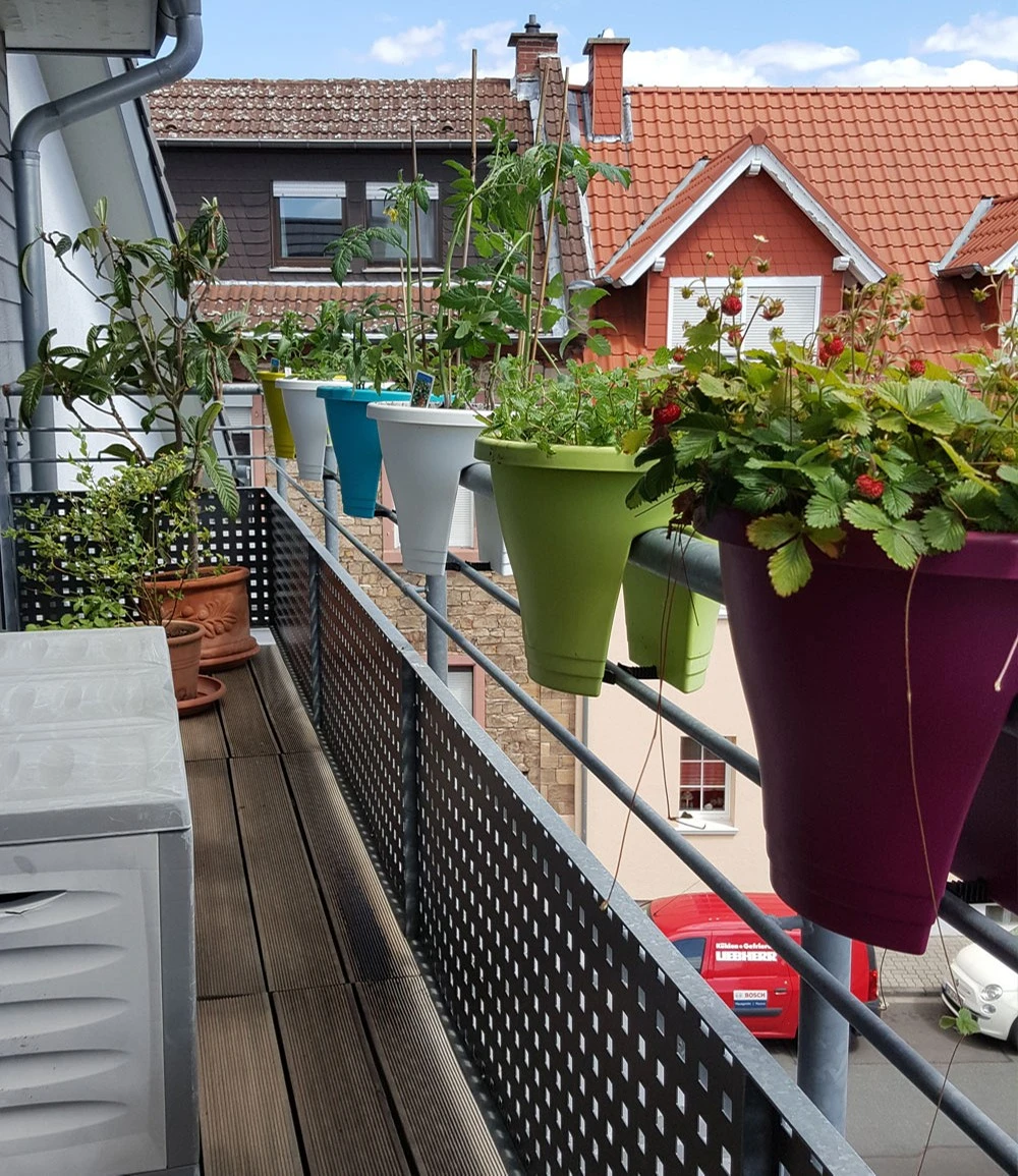 Corsica Flower Bridge® Weiß, 30 Cm ø 6 Corsica Flower Bridge® Weiß, 30 Cm ø – Bild 4