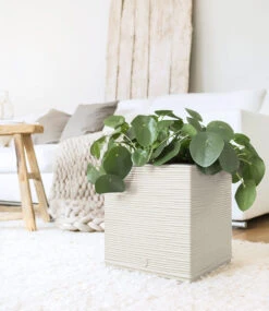 EMSA® CASA COSY Würfel 30x30x31cm 'weiß'