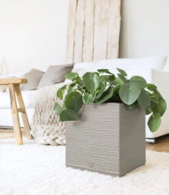 EMSA® CASA COSY Würfel 30x30x31 Cm 'seidengrau'