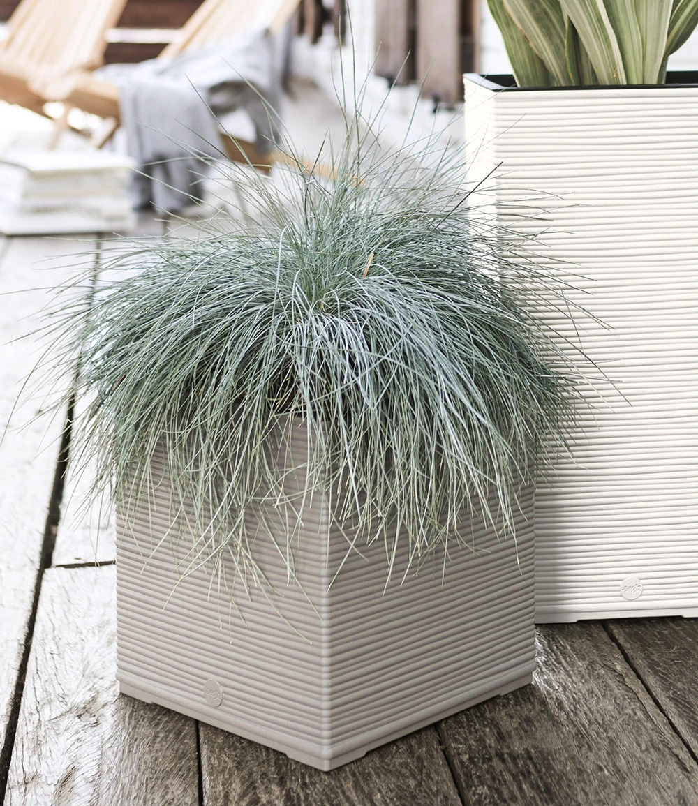 EMSA® CASA COSY Würfel 30x30x31 Cm 'seidengrau' 4 EMSA® CASA COSY Würfel 30x30x31 Cm 'seidengrau' – Bild 2