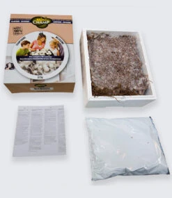 Kulturset Braune Steinchampignons -Gartenpflanzen Geschäft 8931124740126