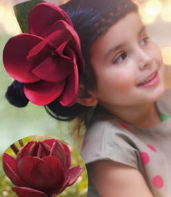 Magnolie 'Genie®' -Gartenpflanzen Geschäft 8933385568286