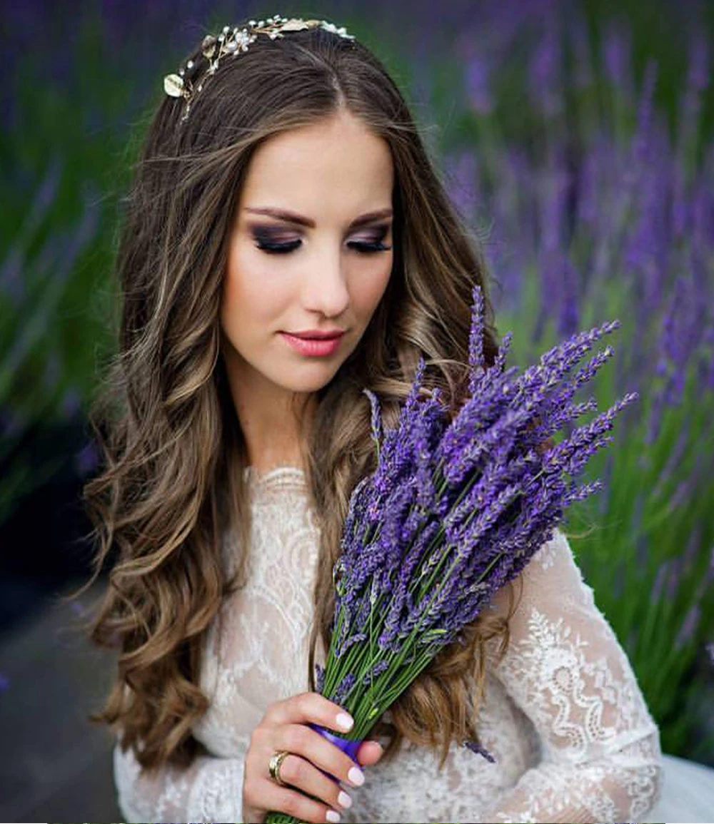 Lavendel 'Phenomenal®' Im 2-Liter Topf 7 Lavendel 'Phenomenal®' Im 2-Liter Topf – Bild 5