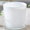 Glas-Übertopf ø 19 Cm 'weiß' -Gartenpflanzen Geschäft 8937027108894
