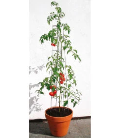 Tomatenturm 120 Cm