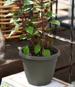 EMSA® 'My City Garden' Blumenkübel Granit Rund 30 Cm