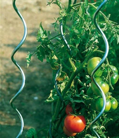 Tomaten-Spiralstab 110 Cm 5er-Set -Gartenpflanzen Geschäft 8959760760862