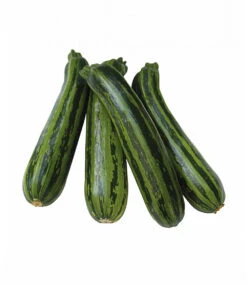 Hochbeet Saatgut-Box -Gartenpflanzen Geschäft 8964682547230