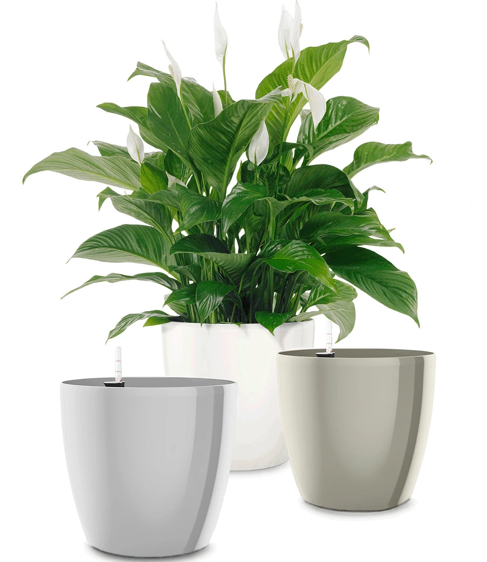 EMSA® Blumenkübel CASA BRILLIANT ø 35 Cm 'granit' 4 EMSA® Blumenkübel CASA BRILLIANT ø 35 Cm 'granit' – Bild 2