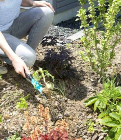 GARDENA® Unkrautstecher (kurz) -Gartenpflanzen Geschäft 8969090990110