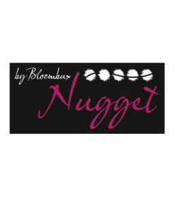 Rhododendron 'Nugget By Bloombux®' -Gartenpflanzen Geschäft 8969102852126