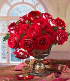 Rose Der Liebe 'Château De Versailles®'