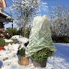 Winterschutz Mega Vlieshaube 'FARN' 180x120cm -Gartenpflanzen Geschäft 8975267233822