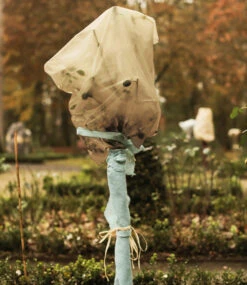 Winterschutz Rosenhaube (3 St. à 75x80cm)