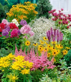 Staudenbeet 'Sommerwind'