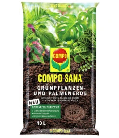 COMPO® Palmendünger & Palmerde & Kanarische Dattelpalme Ca. 50 Cm Hoch -Gartenpflanzen Geschäft 8976370401310