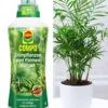COMPO® Palmendünger & Chamaedorea Palme Ca. 30 Cm Hoch 1 COMPO® Palmendünger & Chamaedorea Palme Ca. 30 Cm Hoch -Gartenpflanzen Geschäft 8976371449886