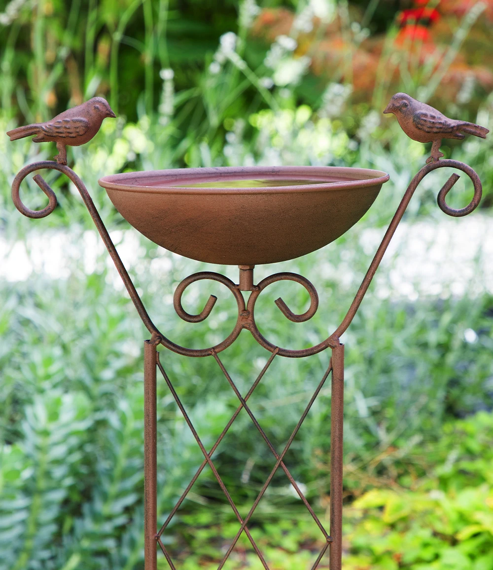 Vogeltränke Mit Rankhilfe 4 Vogeltränke Mit Rankhilfe – Bild 2