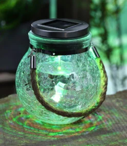 LED Solar- Dekoglas -Gartenpflanzen Geschäft 8977445355550