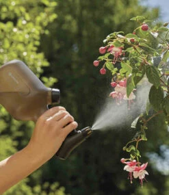 GARDENA® Comfort Pumpsprüher 1 L 9 GARDENA® Comfort Pumpsprüher 1 L -Gartenpflanzen Geschäft 8982605398046