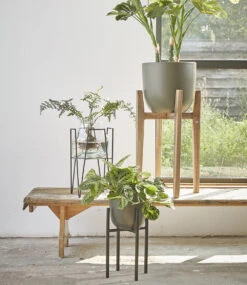 Pflanzenständer 'Ascot' 20,5 Cm 11 Pflanzenständer 'Ascot' 20,5 Cm -Gartenpflanzen Geschäft 8990197809182