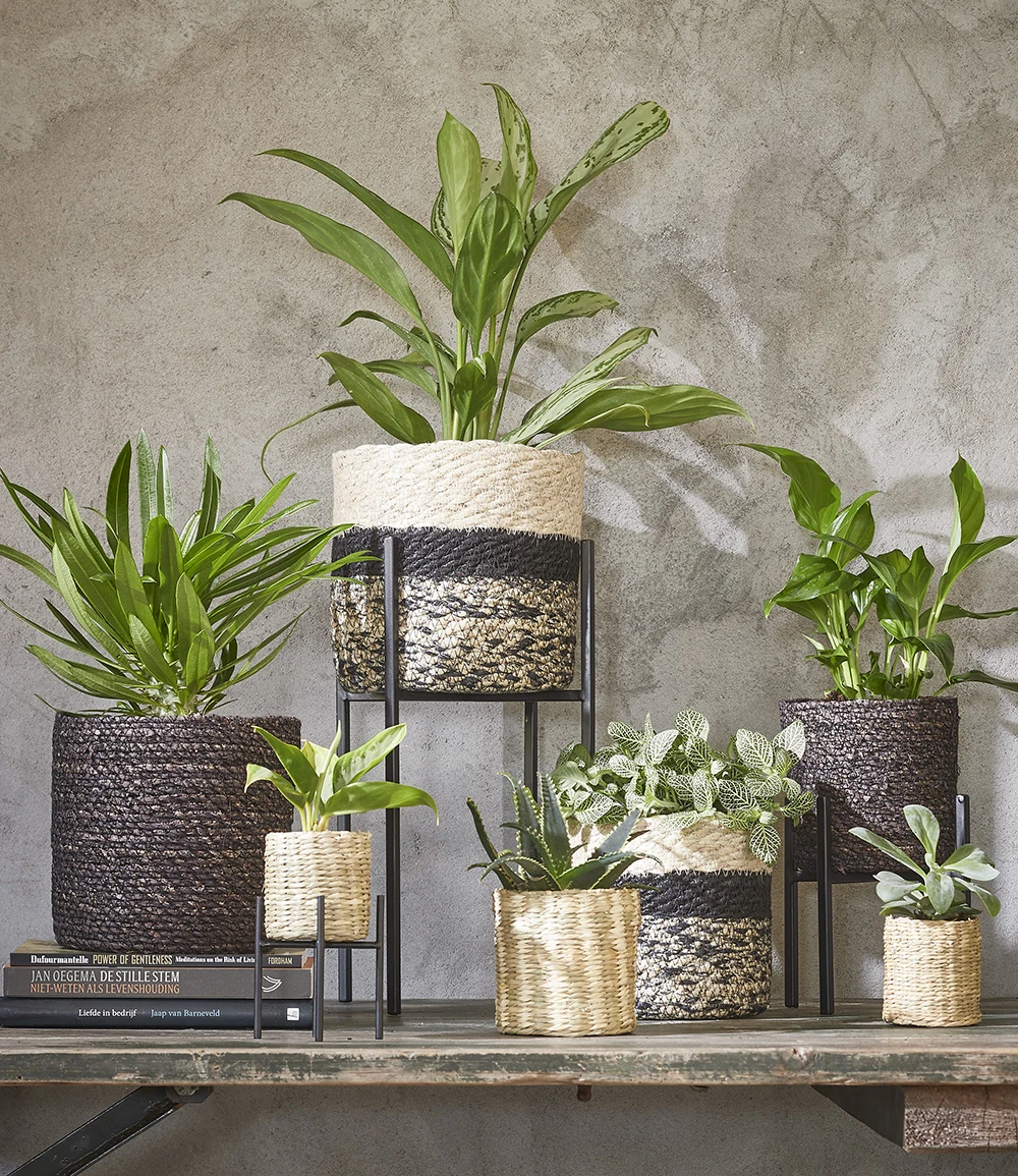 Kokos-Übertopf 'Live' ø20 Cm Mit Folieneinsatz 5 Kokos-Übertopf 'Live' ø20 Cm Mit Folieneinsatz – Bild 3