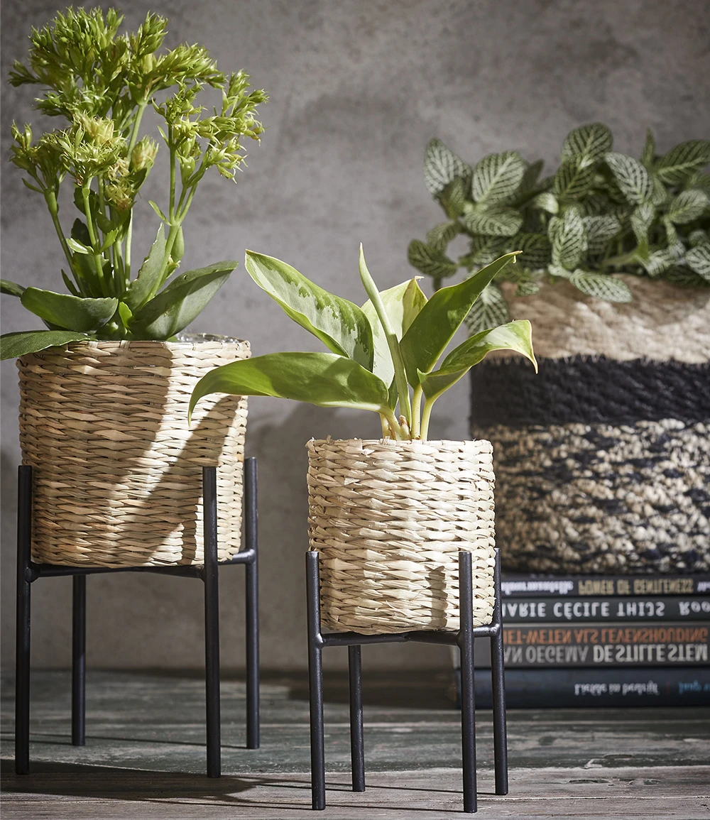 Pflanzenständer 'Ascot' 20,5 Cm 4 Pflanzenständer 'Ascot' 20,5 Cm – Bild 2