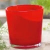 Glas-Übertopf ø 19 Cm 'rot' 2 Glas-Übertopf ø 19 Cm 'rot' -Gartenpflanzen Geschäft 8991270764574