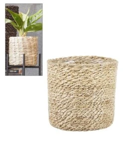 Kokos-Übertopf 'creme' ø14 Cm Mit Folieneinsatz