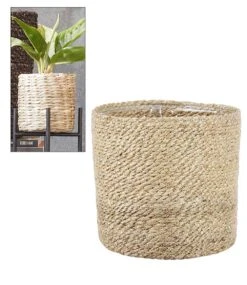 Kokos-Übertopf 'creme' ø20 Cm Mit Folieneinsatz