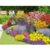 Staudenbeet 'Blooms For Months' 2 Staudenbeet 'Blooms For Months' -Gartenpflanzen Geschäft 9003974557726