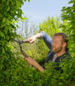 GARDENA® Classic Heckenschere 540 FSC Pure -Gartenpflanzen Geschäft 9013536981022