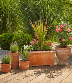 GARDENA® Micro-Drip-System Start-Set Pflanztöpfe M -Gartenpflanzen Geschäft 9013538422814