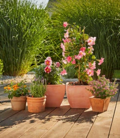 GARDENA® Micro-Drip-System Erweiterungsset Pflanztöpfe 8 GARDENA® Micro-Drip-System Erweiterungsset Pflanztöpfe -Gartenpflanzen Geschäft 9013539209246