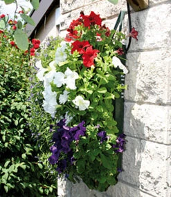 Pflanzbeutel 'Kaskade' & Gießtrichter -Gartenpflanzen Geschäft 9024001507358