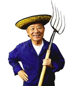 Japanischer Ahorn 'Burgund' -Gartenpflanzen Geschäft 9024019791902