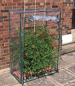 Tomaten-Gewächshaus 100x50x150 Cm