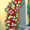 Kletterrosen-Trio 2 Kletterrosen-Trio -Gartenpflanzen Geschäft 9024155090974