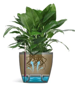 EMSA® Blumenkübel CASA BRILLIANT ø 35 Cm 'Seidengrau' -Gartenpflanzen Geschäft 9024360382494