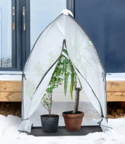 ICEDOME Überwinterungszelt -Gartenpflanzen Geschäft 9045767553054