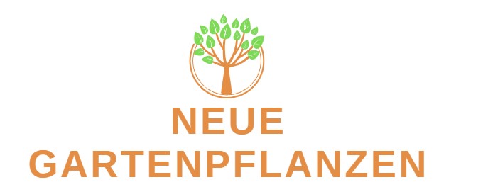 Gartenpflanzen Geschäft